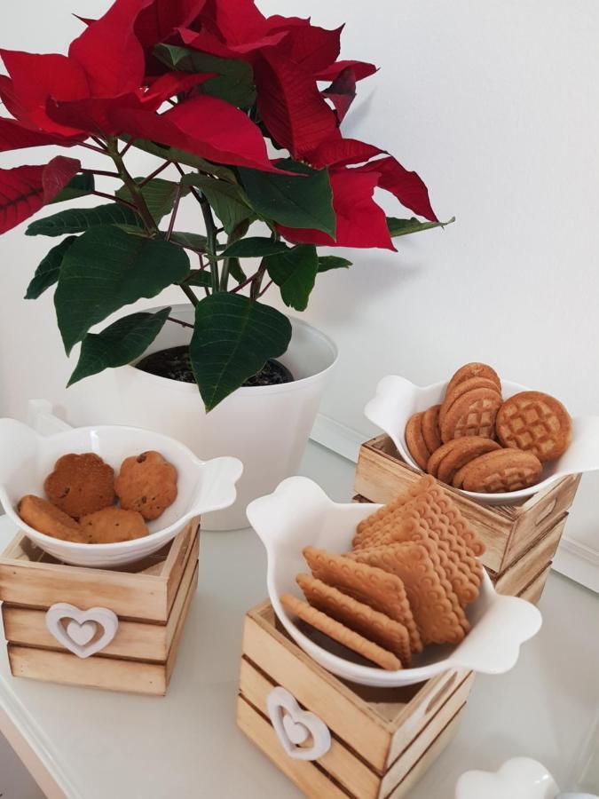 Rose Antiche Vatican B&B Roma Dış mekan fotoğraf